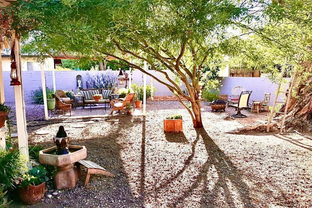 Cute Peaceful Tiny House Getaway W Backyard - Low Summer Rates! Tucson Eksteriør billede